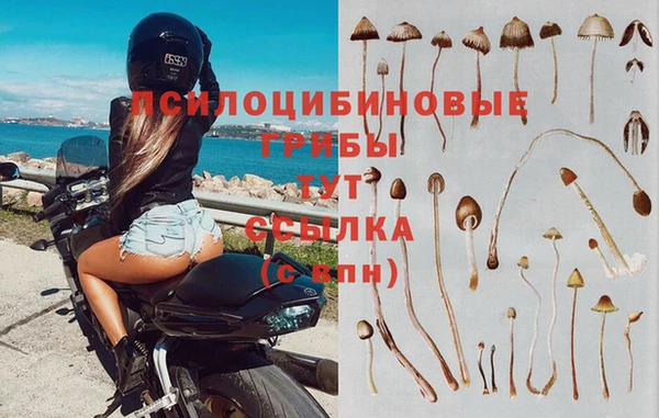сатива Володарск
