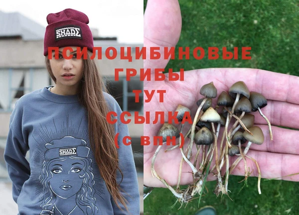 mix Вязьма
