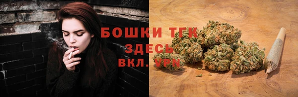 сатива Володарск