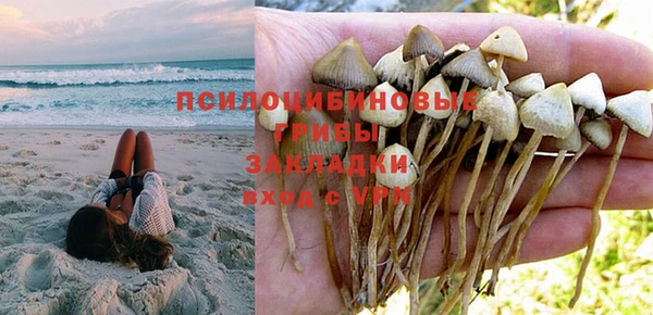 мдпв Волоколамск