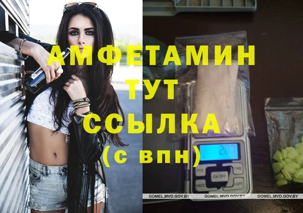 сатива Володарск