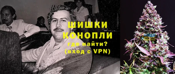 мдпв Волоколамск