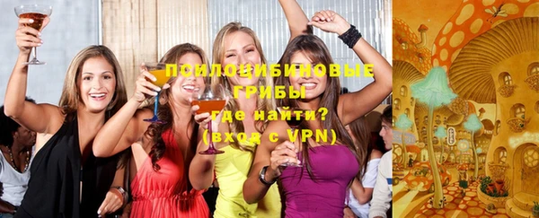 мдпв Волоколамск