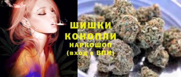 сатива Володарск