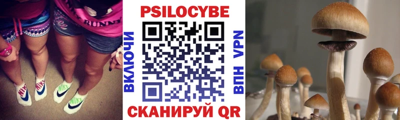 Псилоцибиновые грибы мицелий Питкяранта